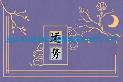 属猴和属猪相配不 属猴 ? 和属猪相配不 ? 合吗