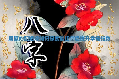 ? 属鼠 ? 的配姻缘如何探索最佳伴侣提升幸福指数