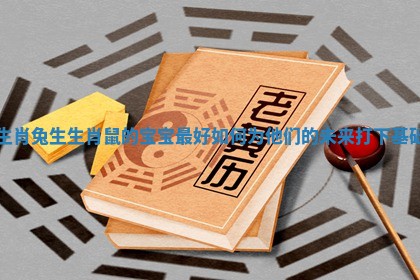 生肖兔生生肖 ? 鼠的宝宝 ? 最好 如何为他们的未来打下基础