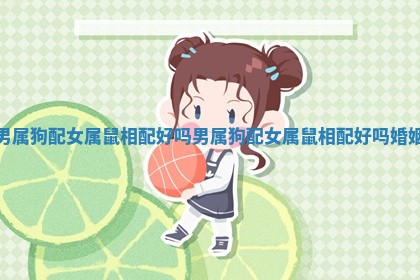 男属狗配女属鼠相配好吗_男属狗配女属鼠 ? 相配 ⚡ 好吗婚姻